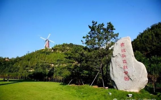东坡公园的春秋往事