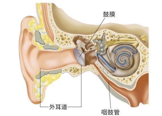 亲吻、家庭日常小动作竟然能伤害鼓膜？耳部保护的警钟