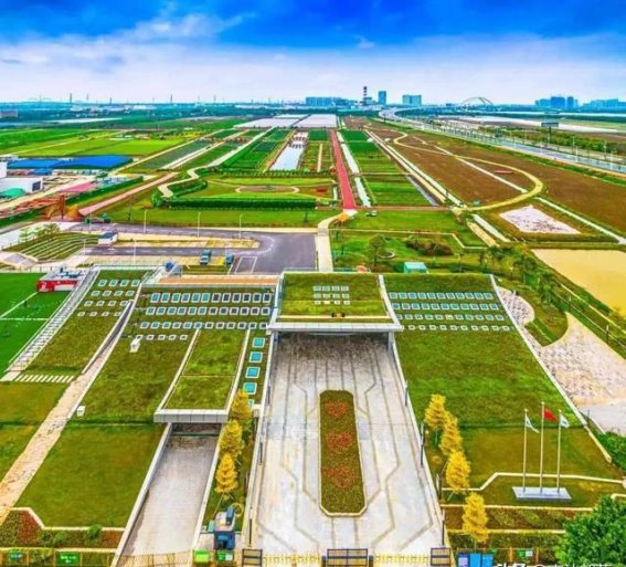 南沙都市农业实验园：免费入园与夜市活动的魅力