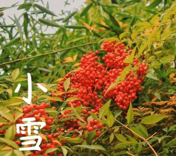 冬季防护：如何有效预防心脑血管疾病
