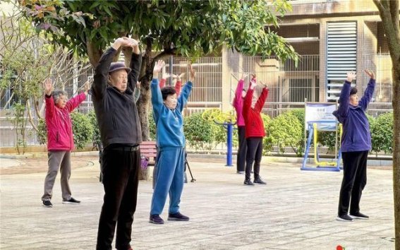 冬日阳光下的湛江：南下旅居的温馨故事