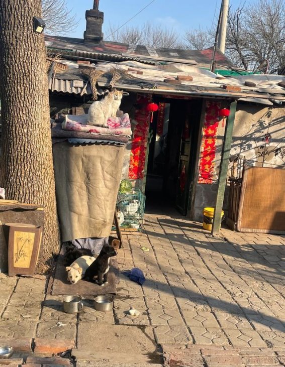 意外误入的荒村，城市边缘的另一种景象