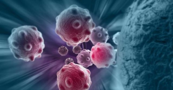 长期不感冒，免疫力和癌症的关系：科学揭秘