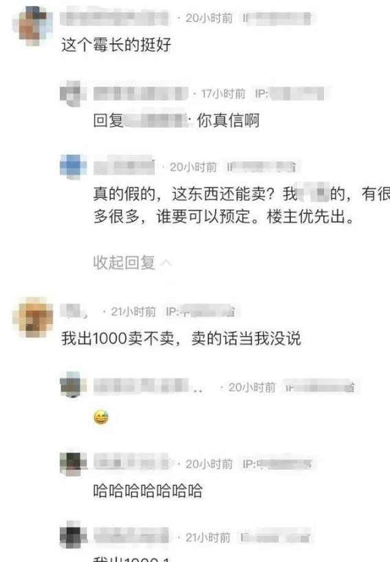 发霉橘子卖出天价背后的真相：是奇葩买卖还是科研价值？