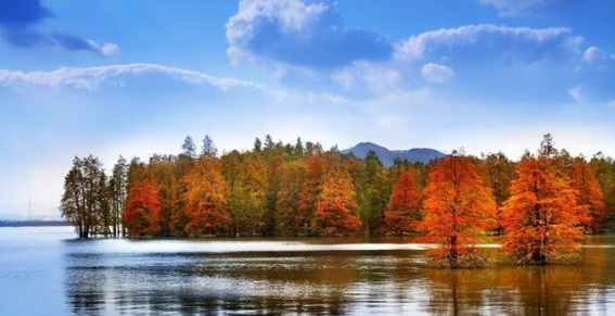 青山湖入选省级重要湿地，杭州湿地保护迈上新台阶