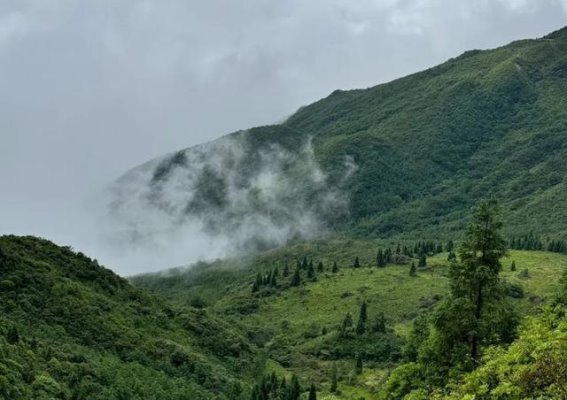 越城岭——南岭的脊梁与自然的瑰宝