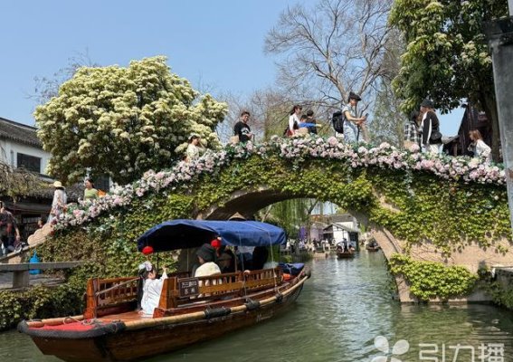 周庄古镇：文化传承与市场活力的完美交响