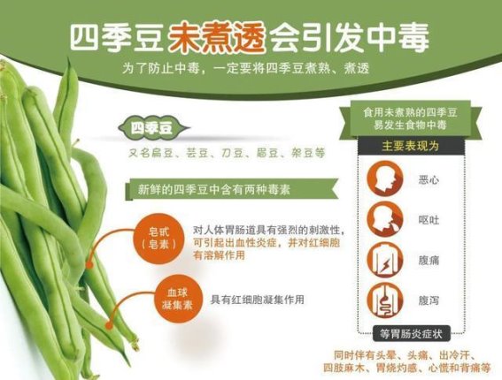 四季豆是否真的安全？专家为您解答