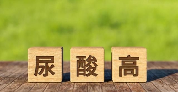 痛风缓解期的中医治疗新思路：汤剂与散剂结合的应用