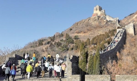 长城乐跑 冬日的激情与文化交织
