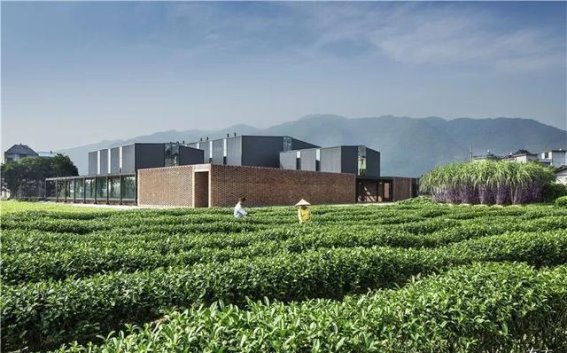 徐甜甜：沃尔夫建筑奖的历史性突破