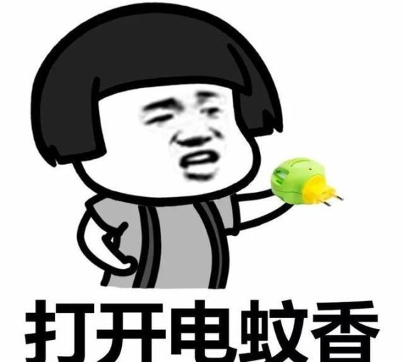 被蚊子叮一口，可能引发的健康危机与防护全攻略