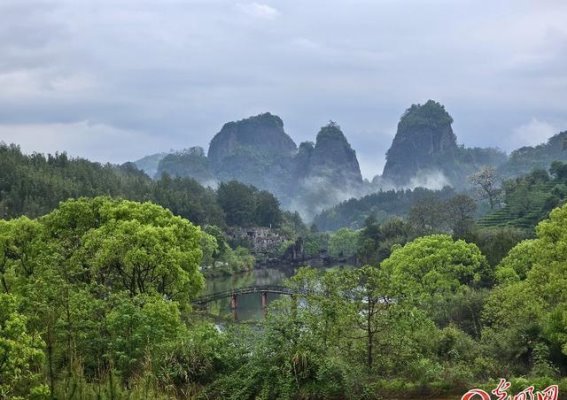 探秘武夷山，感受碧水丹山的自然与文化之美