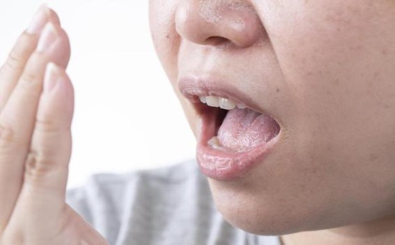 痰湿重引发血管堵塞？中医推荐4款食疗方，助你清痰湿、畅通血管