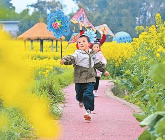 万紫千红总是春——春日景色的多彩展现