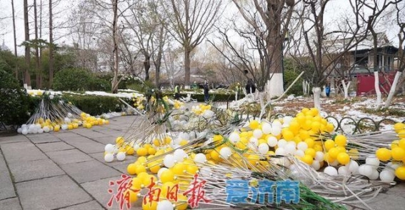 五龙潭公园花灯谢幕，春日新景即将开启