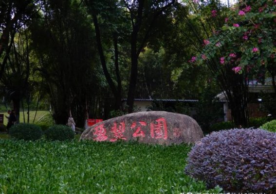 广州黄埔的隐秘绿洲，盈翠公园带你逃离城市喧嚣