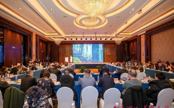 樱花绽放，携手共赴春光盛会——2025年“相约春天赏樱花”文旅座谈会在长沙成功举行