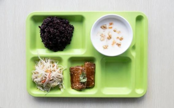 国家版减肥餐走进校园，大学生减脂行动掀起热潮