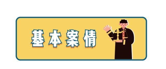 景区游玩受伤责任界定与法律解读