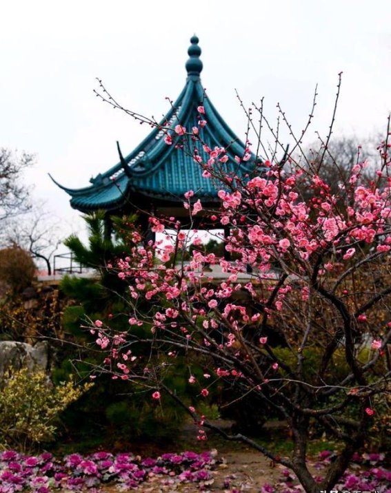 立春时节，春意渐浓