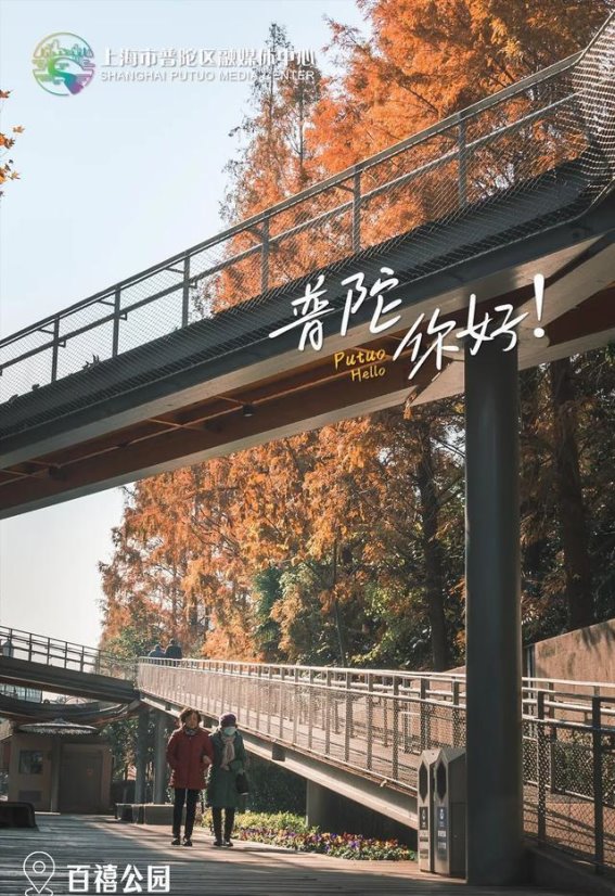 普陀区的转型之路：创新与关怀同行