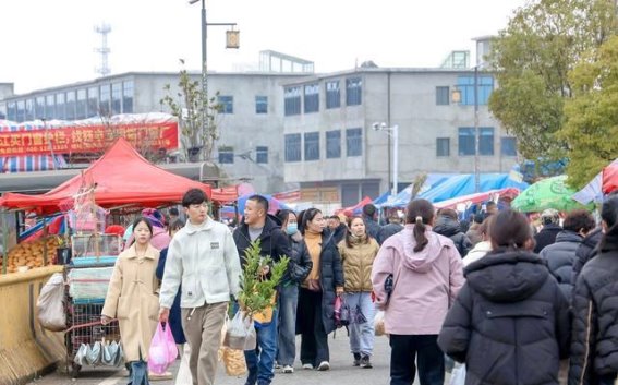 马回岭庙会：商贸与文化交织的传统盛宴