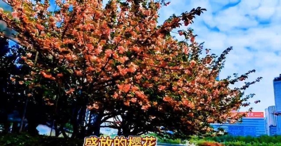 姚江行：穿越时空的世界遗产大运河之旅