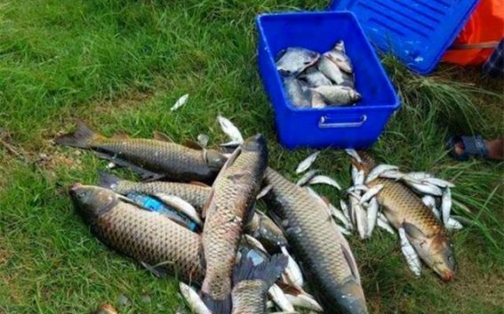 夏季钓鱼最佳时机与天气分析