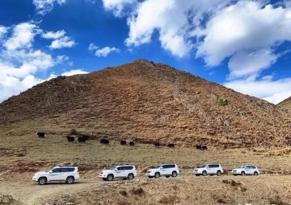 普拉多为何成为318国道上的“不死神车”