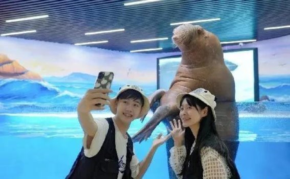 广东清明假期旅游市场亮点纷呈，接待游客超2100万，收入创百亿新高