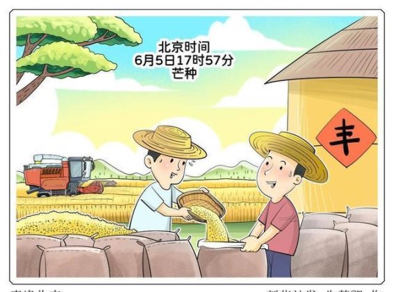 芒种时节养生指南：健脾祛湿，清心火