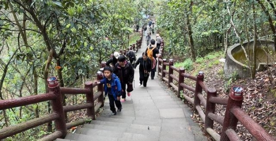龙泉爱心小环线徒步全攻略，春日浪漫让人心动