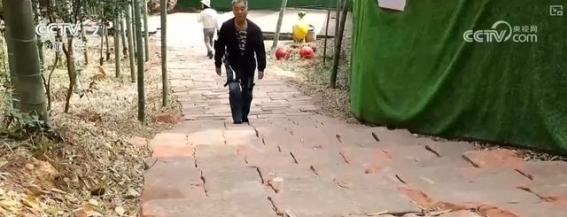 创新外骨骼设备助力踏青，提升游客登山体验