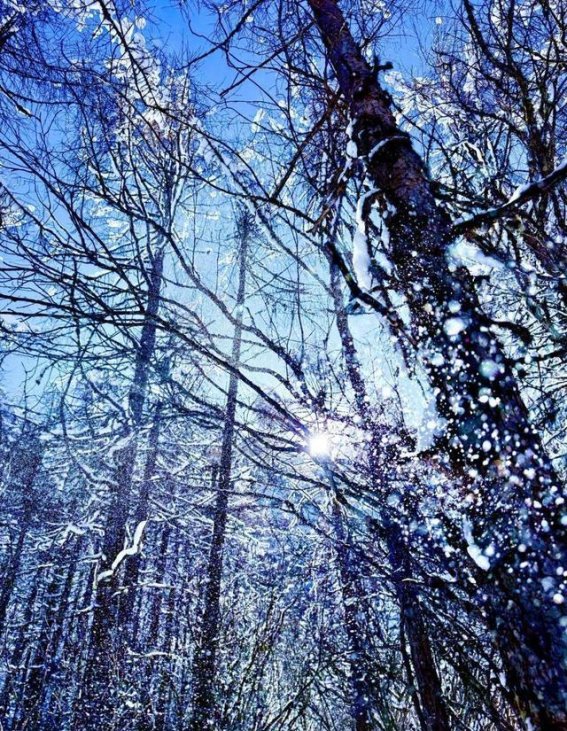 毕棚沟的冬日童话：在雪白的世界中迎接新春