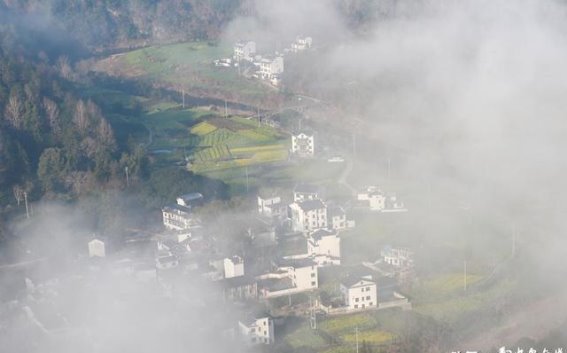 春日花海，云雾缭绕——安徽歙县石潭村的迷人春景