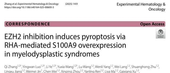 EZH2在骨髓增生异常综合征中的非经典功能及其治疗潜力